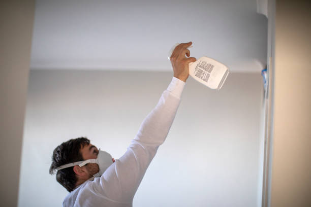 Best Commercial Mold Removal  in Grover, WY
