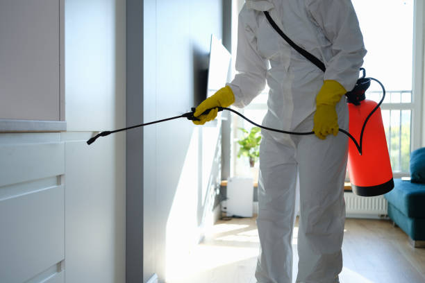 Best Attic Mold Removal  in Grover, WY