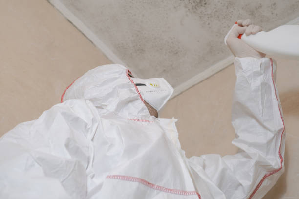 Best Affordable Mold Removal  in Grover, WY