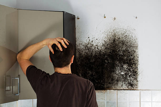 Best Mold Cleaning Services  in Grover, WY